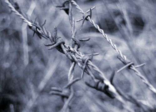 barbed wire close wiring