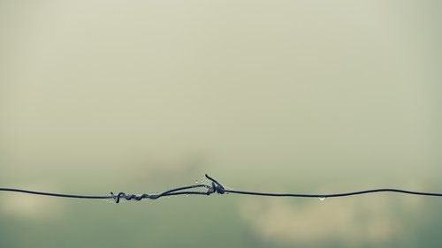 barbed wire  fog  foggy