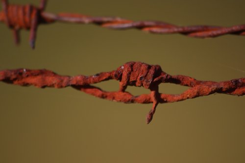 barbed wire  rust  closing