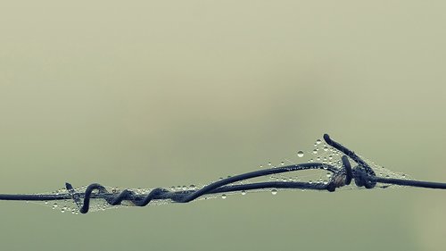 barbed wire  fog  foggy