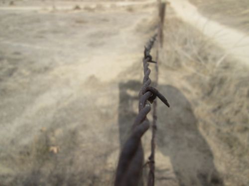 Barbed Wire 4