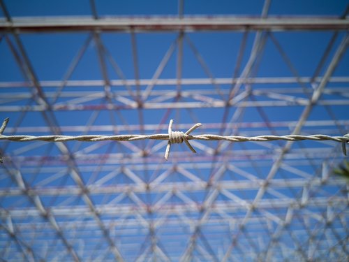 barbed wire  metal  daniel