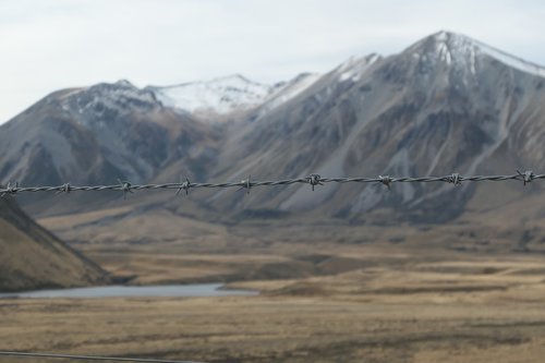 barbed wire  new zealand  mountain