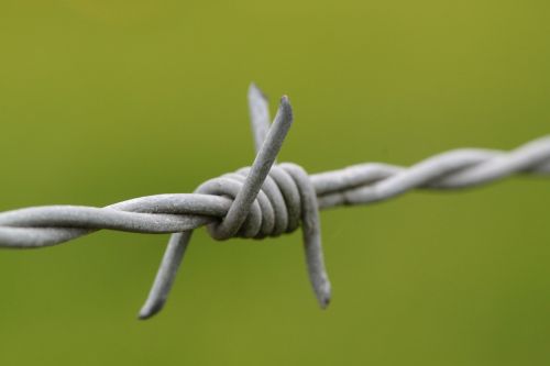 barbed wire pointed wire