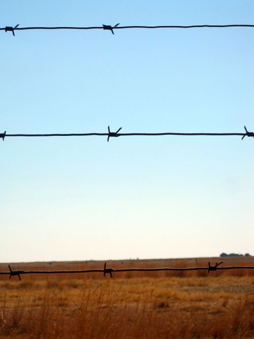 barbed wire wire fence