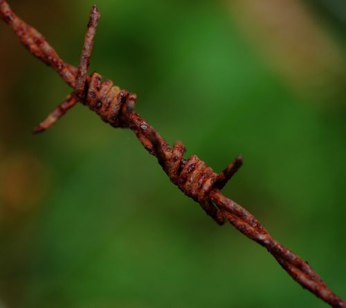 barbed wire oxide green