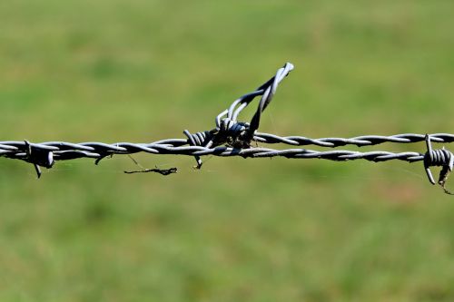 barbed wire fence metal