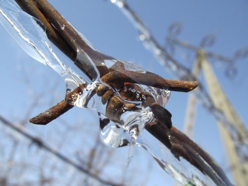barbed wire ice winter