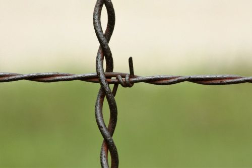 Barbed Wire Close-Up