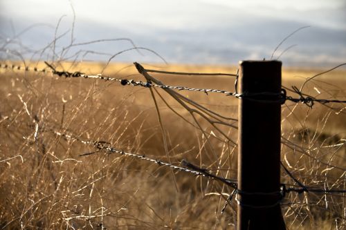 Barbed Wire Fence