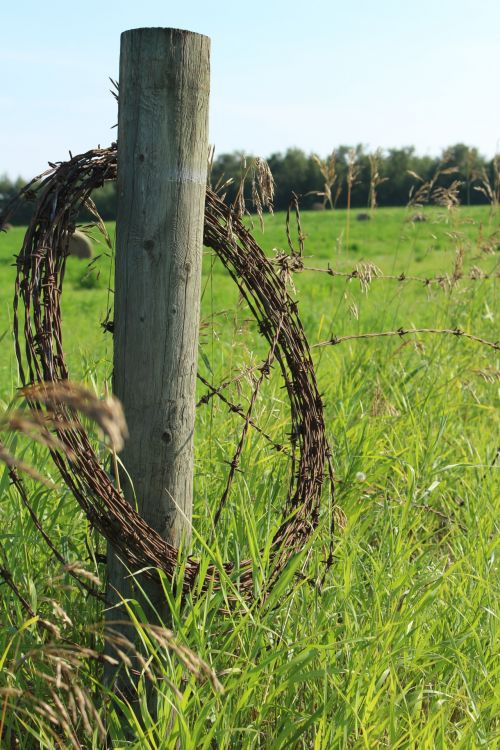 Barbed Wire Fence Farm