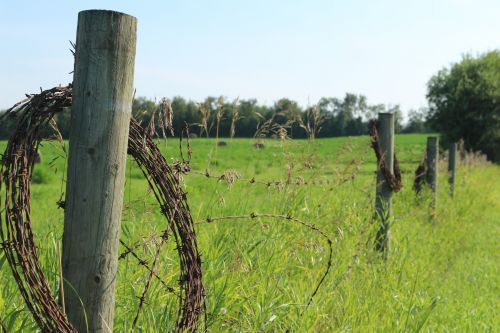 Barbed Wire Fence Farm