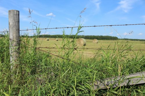 Barbed Wire Fence Farm Hay Bale