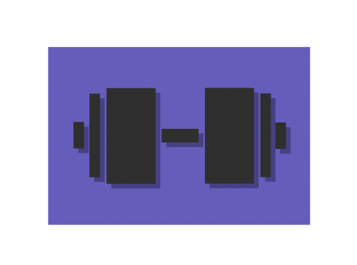 barbel gym weights