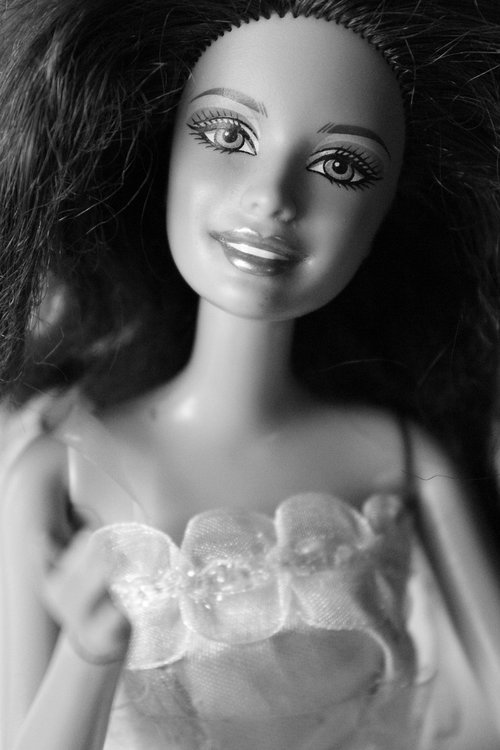 barbie  doll  beauty