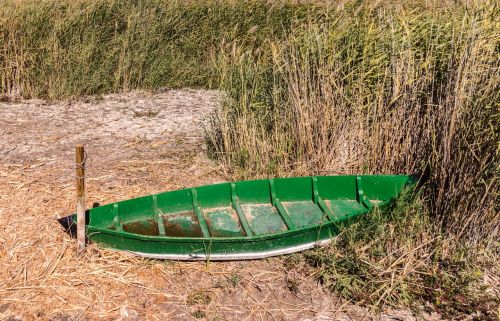 barca green dry
