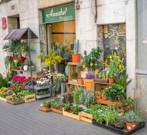barcelona spain flower shop