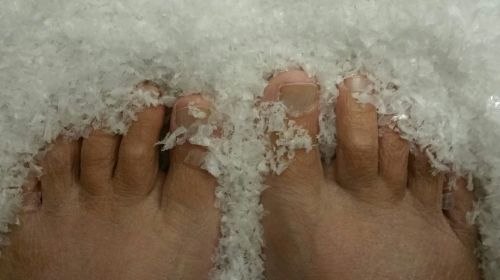 Bare Feet In Snow