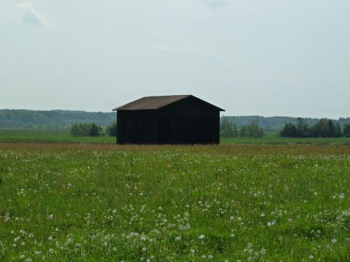 barn summer grass