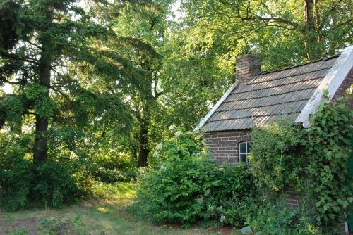 barn garden green