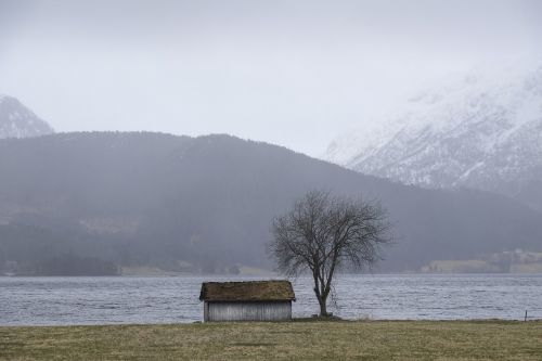 barn fog lake