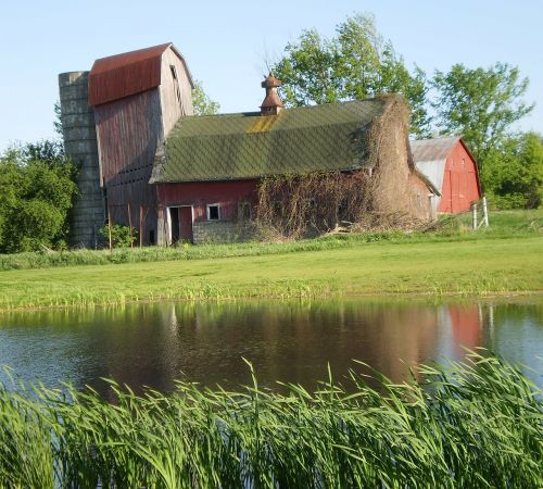barn pond water