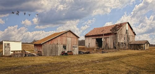 barn rustic barns