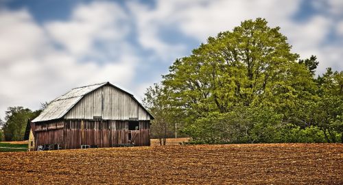 barn rustic barns