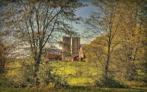 barn rustic barns