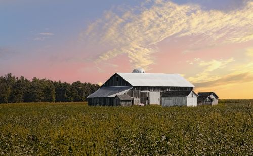 barn rustic barns