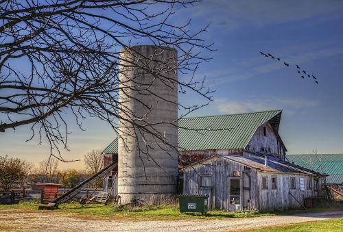 barn rustic barns