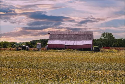 barn rustic barns