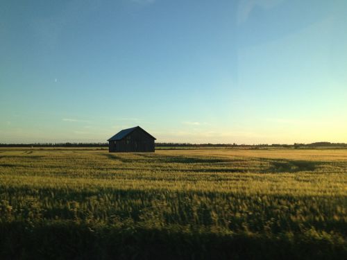 barn landscape field
