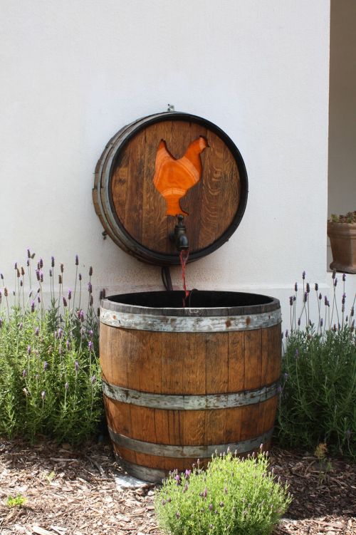 barrel wine barrel south africa