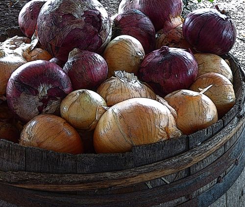 Barrel Of Red And White Onions