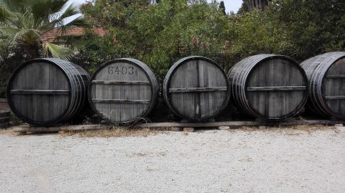 barrels wine grape