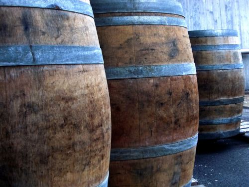 barrels wine keller