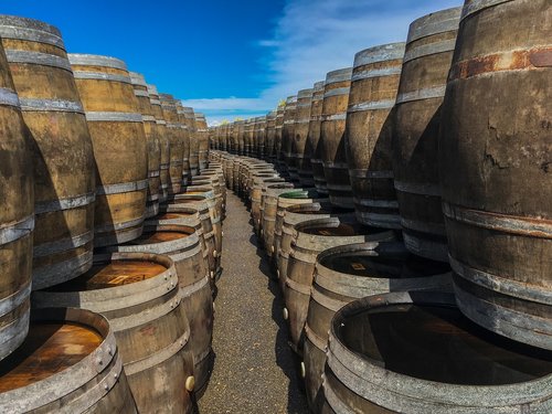 barrels  wine  winery