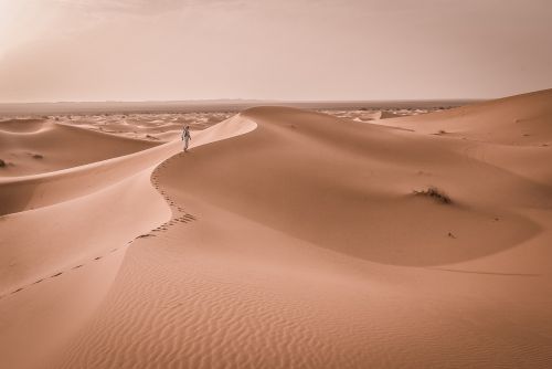 barren desert dune