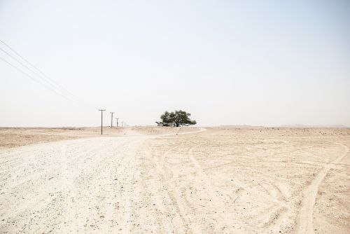 barren desert nature