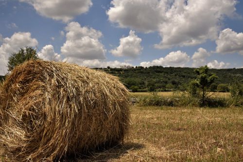 barsento the countryside of puglia puglia