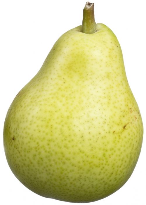 bartlett pear pear fruit