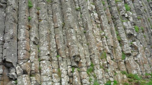 basalt causeway columns
