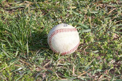 baseball  sport  ball