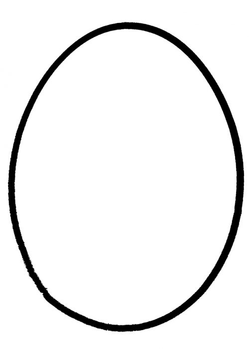 Basic Egg Outline