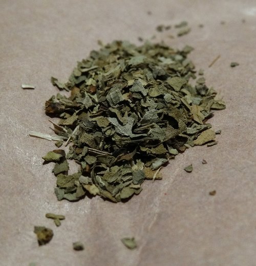 basil  herb  green