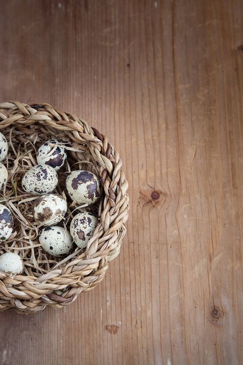basket egg small eggs