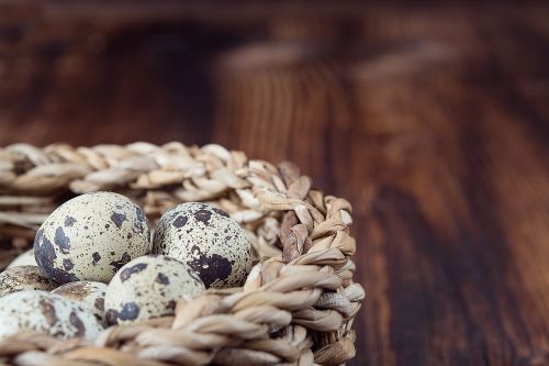 basket egg quail eggs