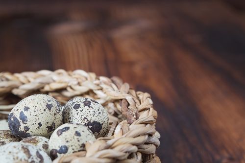 basket egg quail eggs
