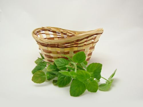 basket green nature